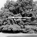 �t samma h�ll (single)