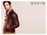 darin4 wallpaper 1024x768
